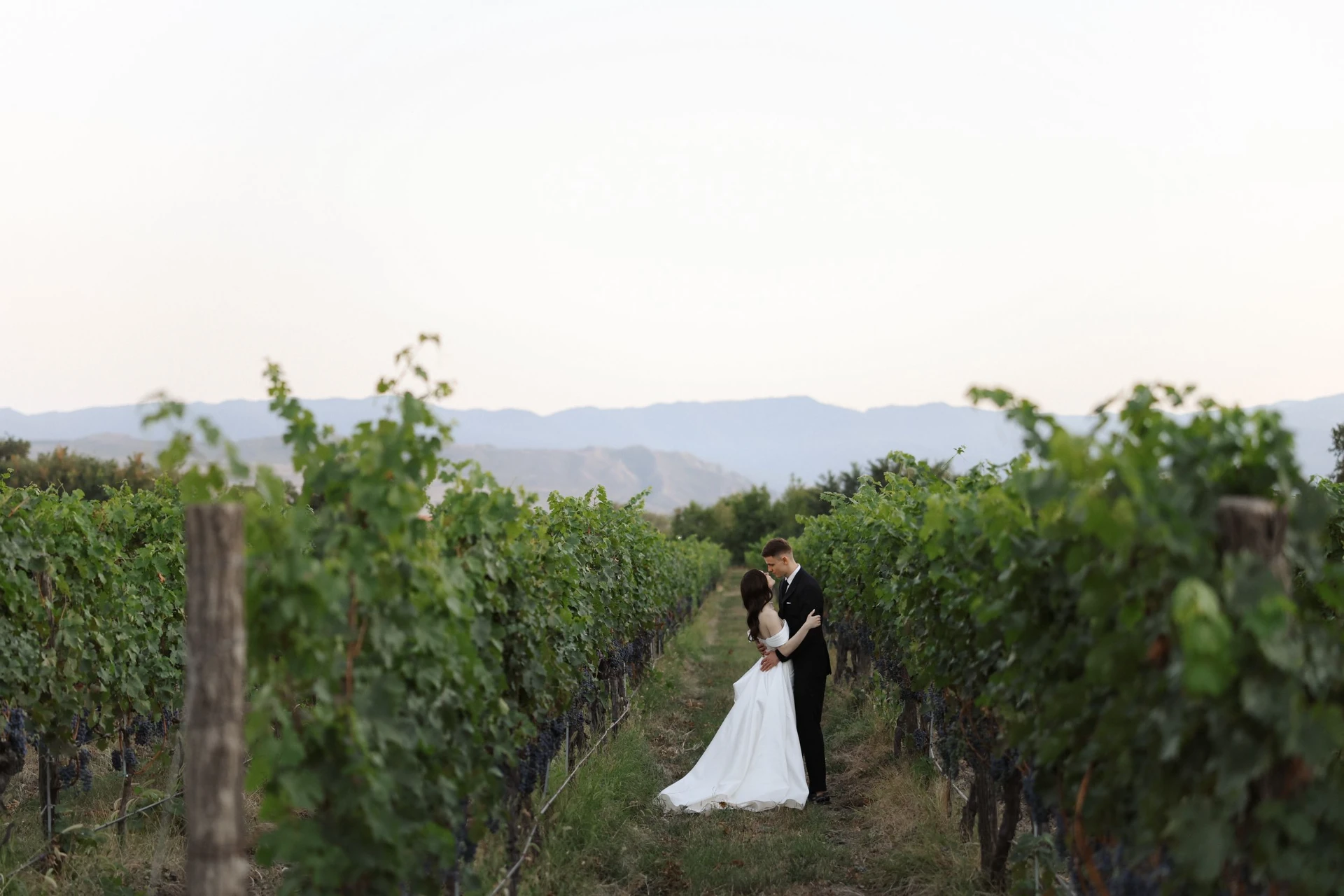 Wedding on the vineyards for international couples with the wedding agency LETO 2