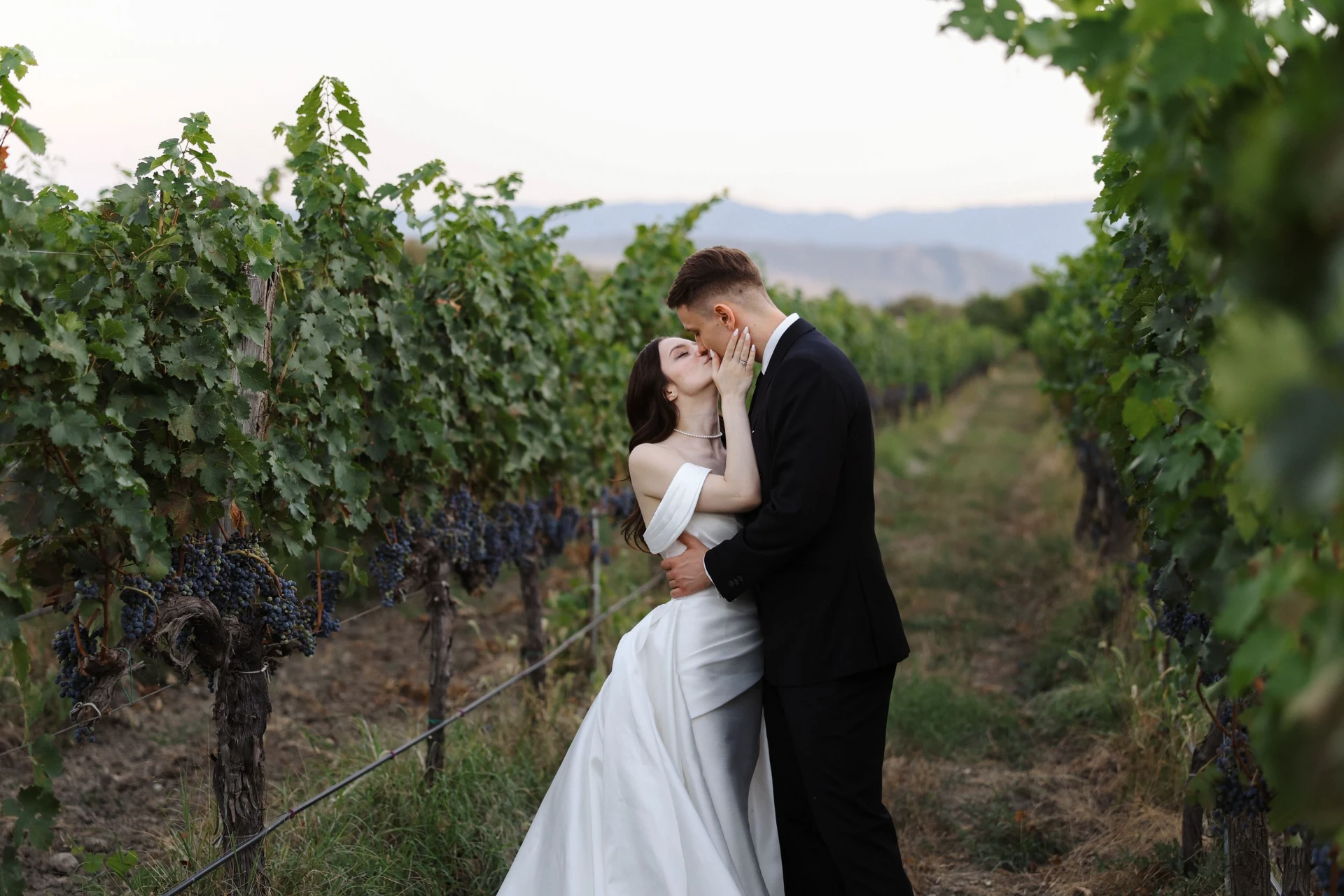Wedding on the vineyards for international couples with the wedding agency LETO 1